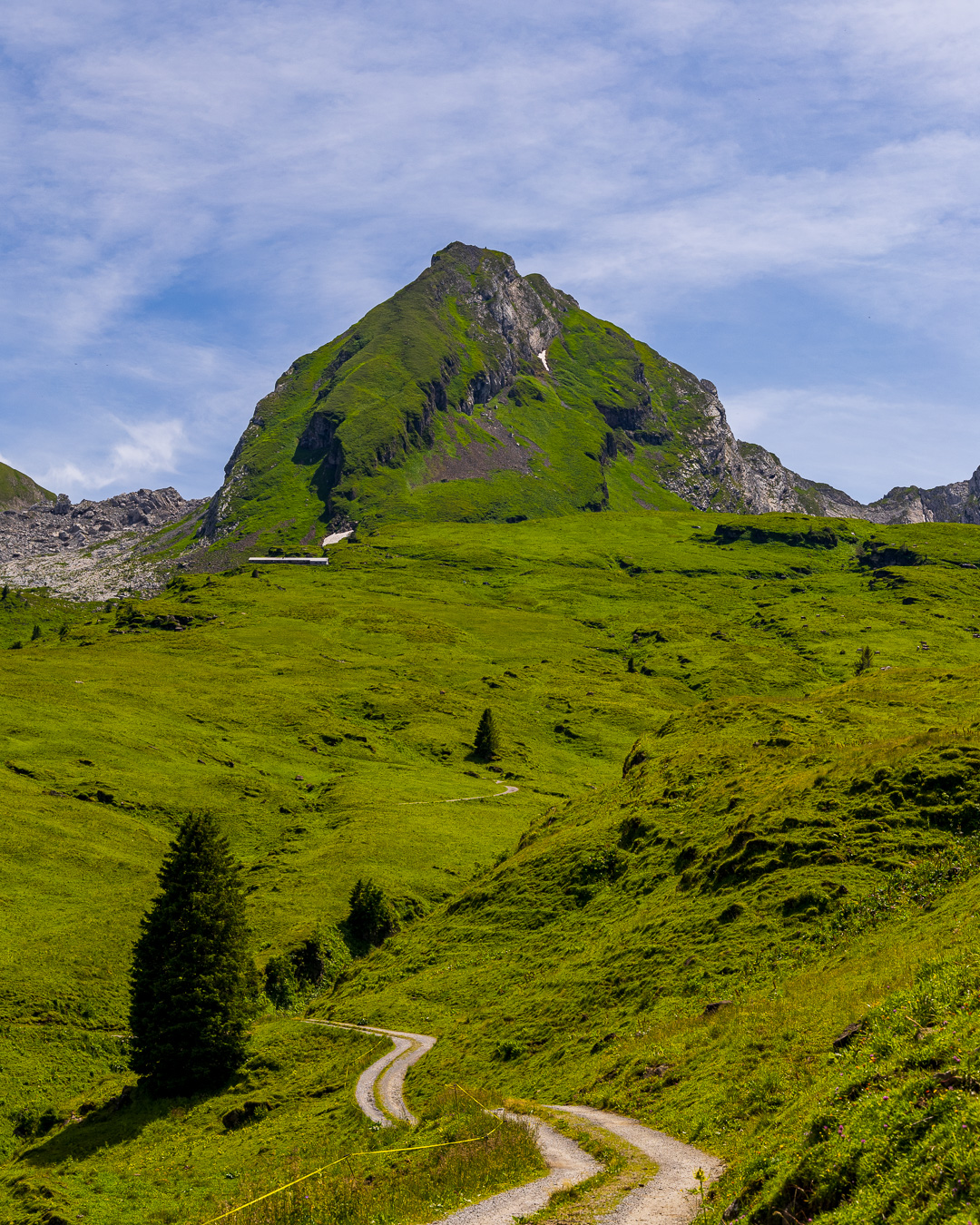 🎄 Frohe Weihnachten 🎄

Und weiter geht der Jahresrückblick im Juni: Besteigung des Frümsel, einem der Churfirsten.

#appenzellerland #appenzelleralpen #frümsel #churfirsten #whataview #alpstein #switzerland #swissalps #naturephotography #landschaftsfotografie #berge #fnachtwey #canon