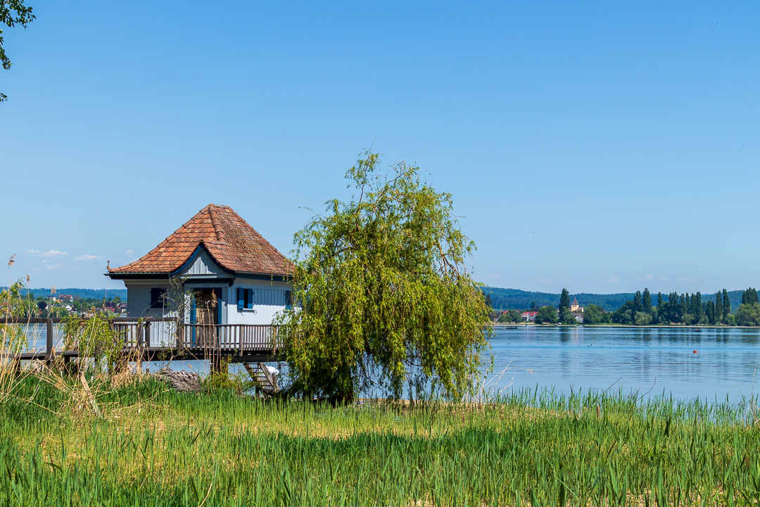 April: Wie jedes Jahr führt die erste Radtour des Jahres am Untersee entlang. Im Hintergrund ist die Insel Reichenau zu sehen.

#lakeconstance #bodenseeliebe #bodenseemomente #bodenseepic #nature_perfect #magicalplace #exploregermany🇩🇪 #enjoytheview #sehnsuchtbodensee #fnachtwey #canon #bodenseebilder #whataview #bodenseeliebe #bodenseemagazin #bodensee4u #bodenseeregion #reichenau_bodensee #thurgau #thurgaubodensee #frühling #spring